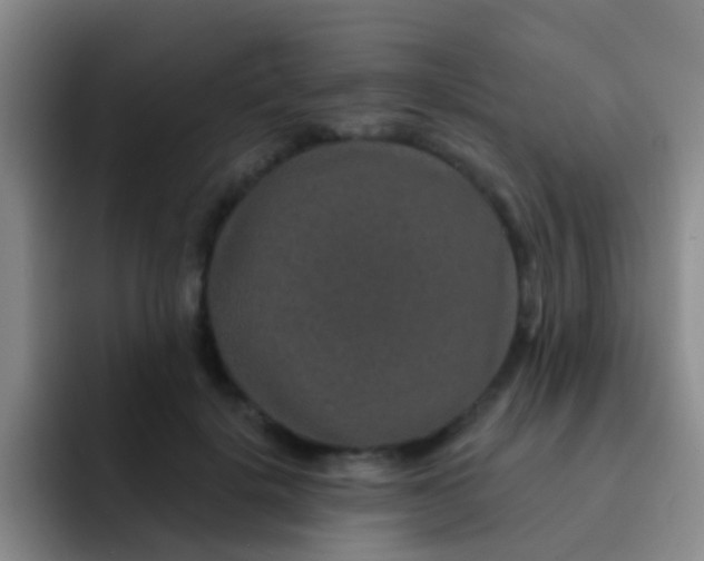 X0000091930652200709261915