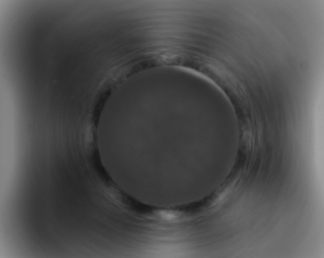X0000091930654200709261915