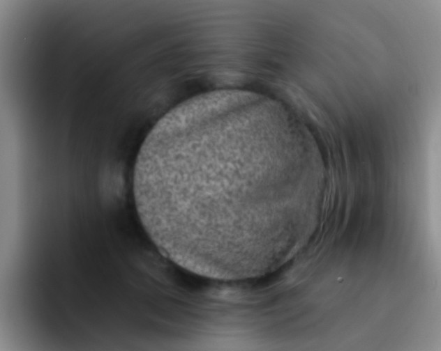 X0000091930655200709261915