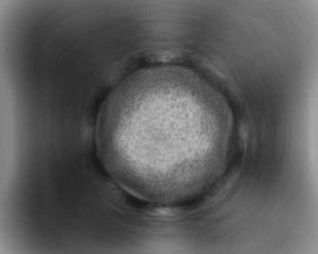 X0000091930657200709261915