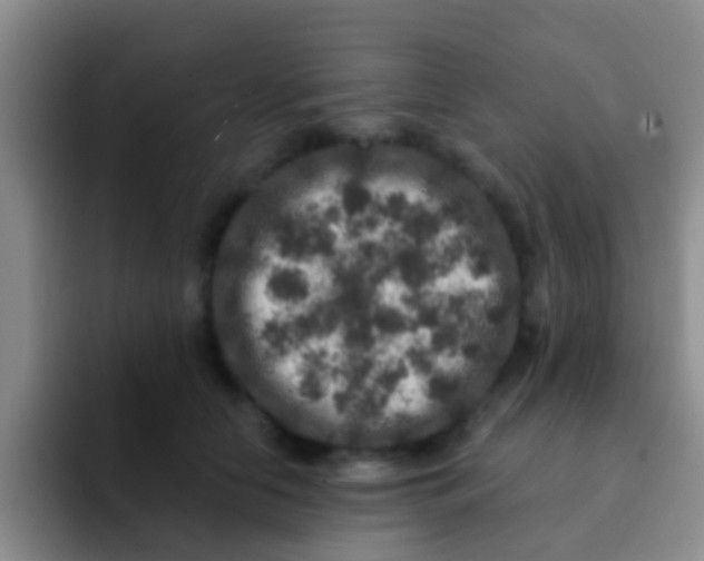 X0000091930658200709261915