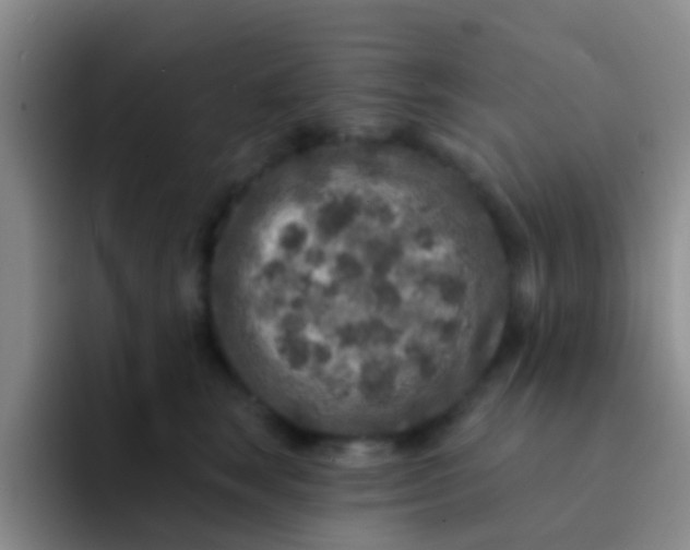 X0000091930663200709261915