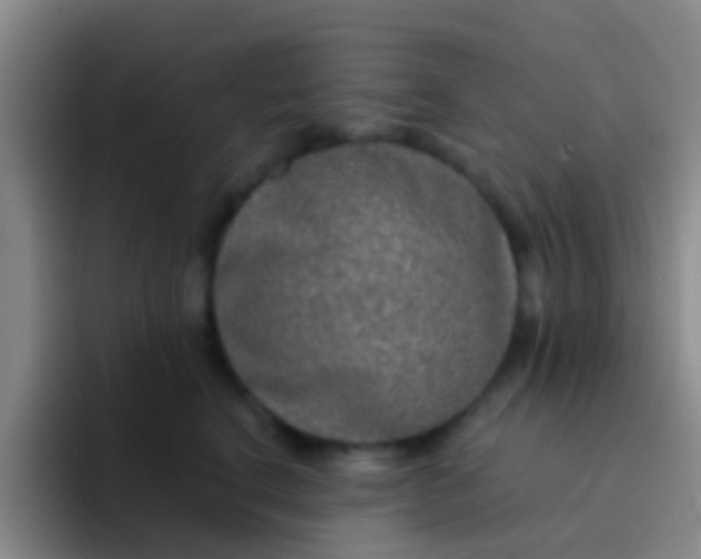 X0000091930664200709261915