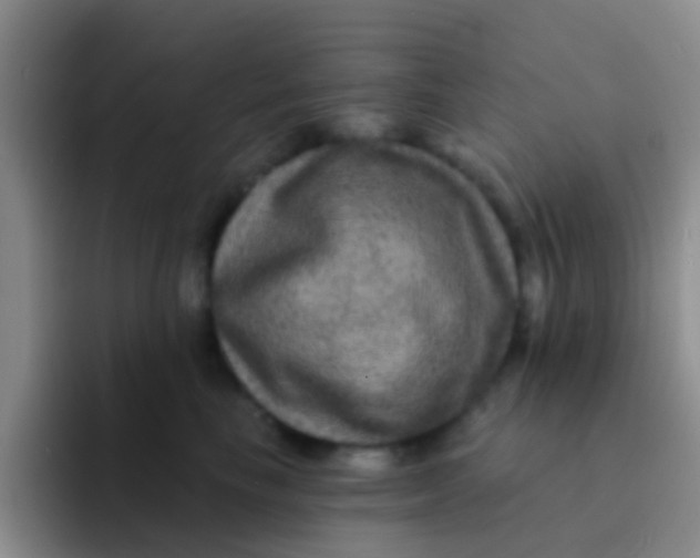 X0000091930665200709261915