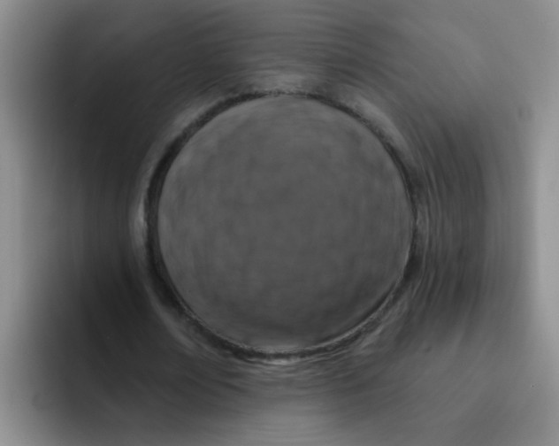 X0000091930674200709261914