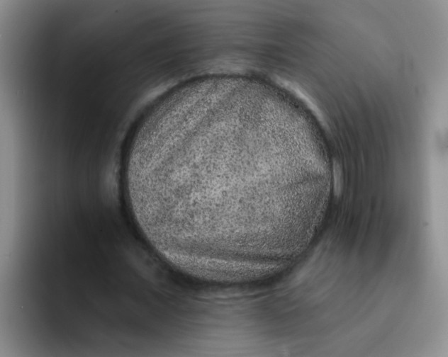 X0000091930675200709261914
