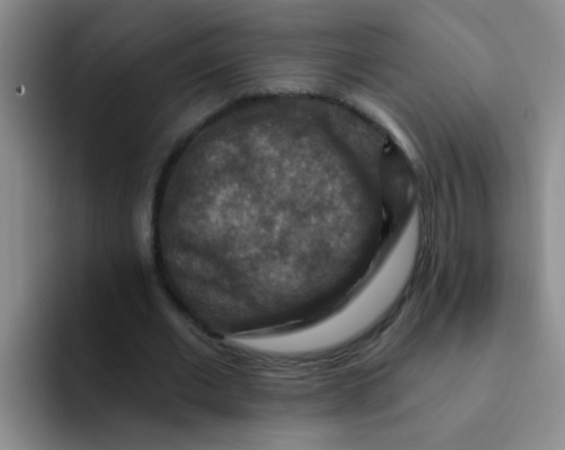 X0000091930677200709261914