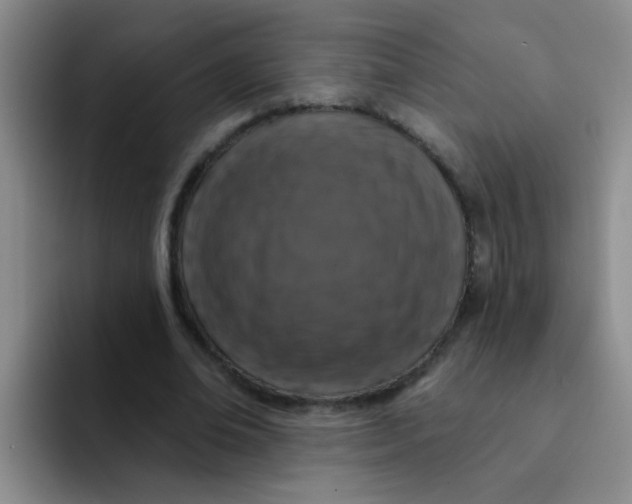 X0000091930678200709261914