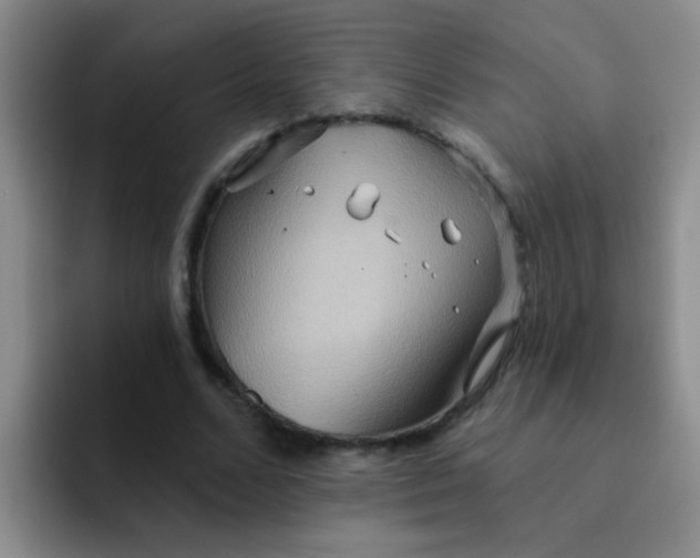 X0000091930680200709261914