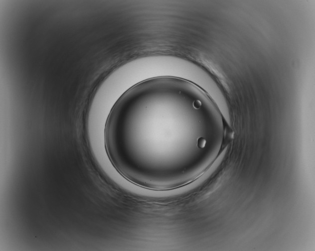 X0000091930681200709261914