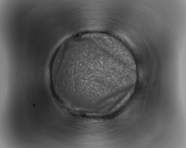 X0000091930684200709261914