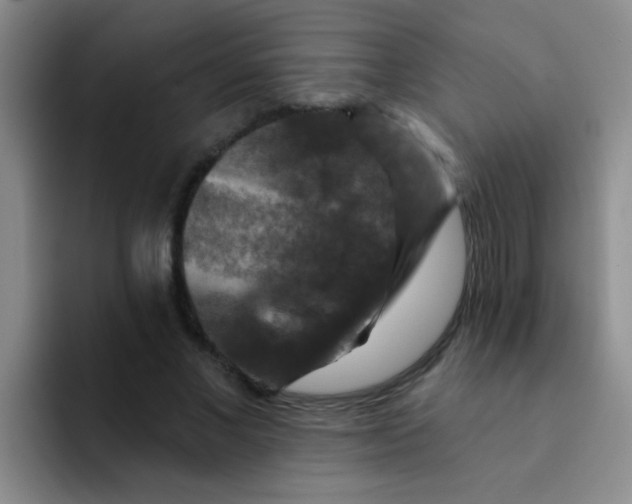 X0000091930685200709261914