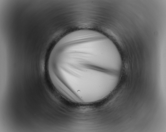 X0000091930686200709261914