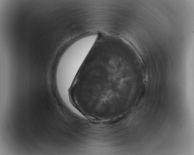X0000091930688200709261914