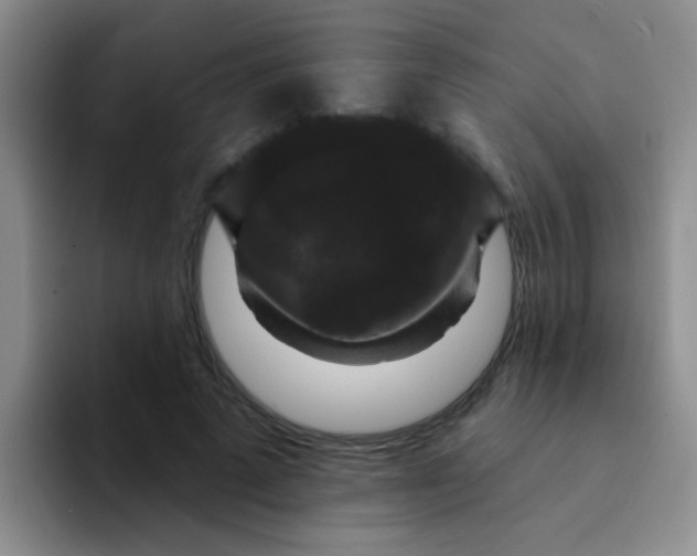 X0000091930689200709261914