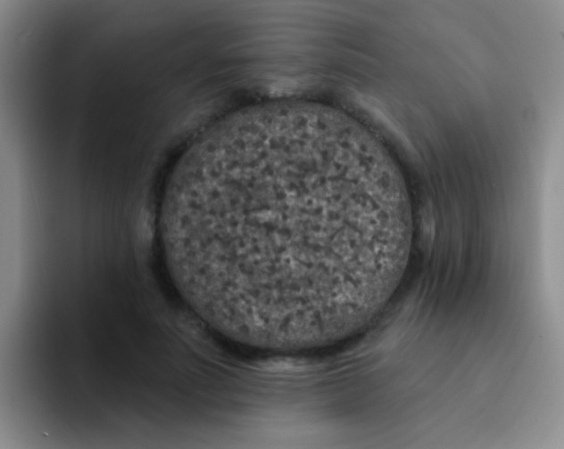 X0000091930691200709261914