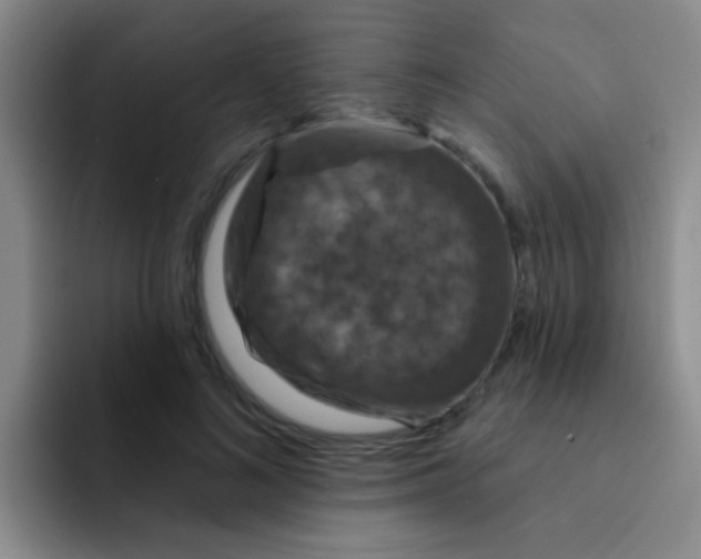 X0000091930692200709261914