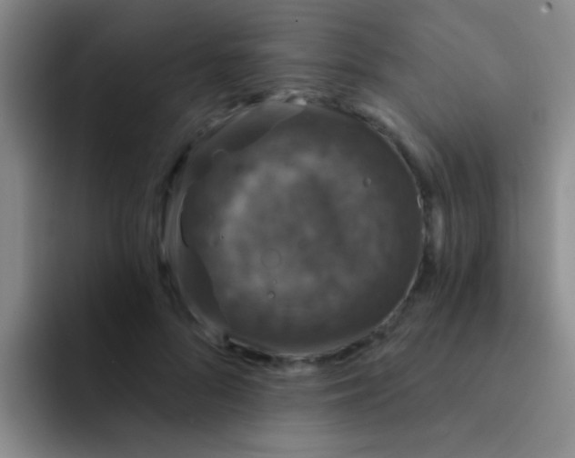 X0000091930696200709261914