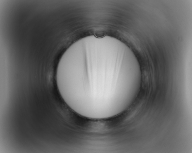X0000091930698200709261914