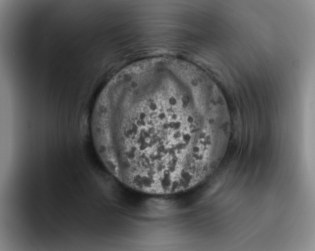 X0000091930699200709261914