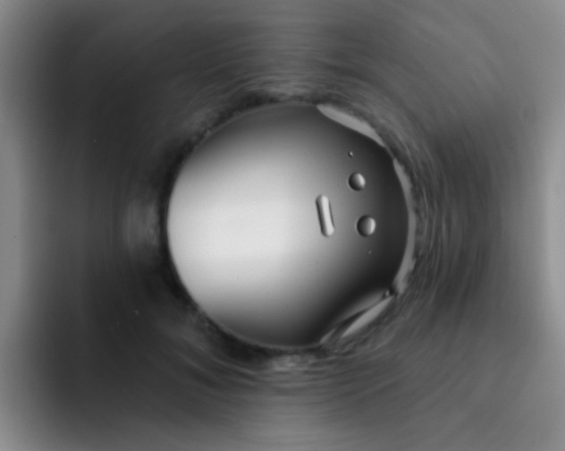 X0000091930700200709261914