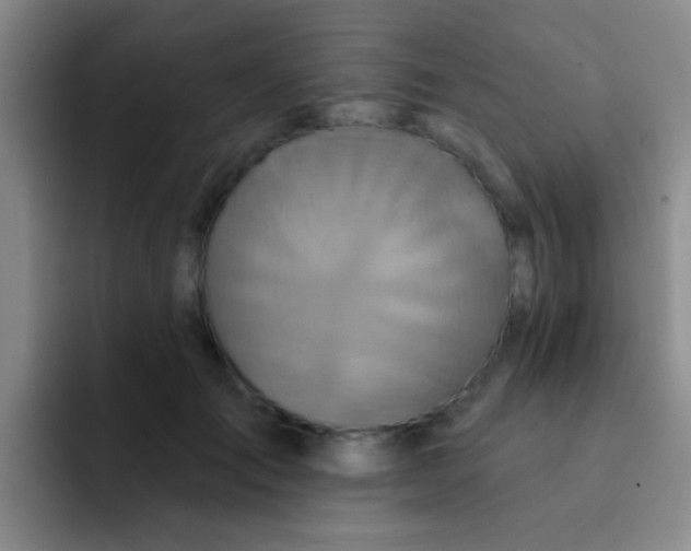 X0000091930701200709261914