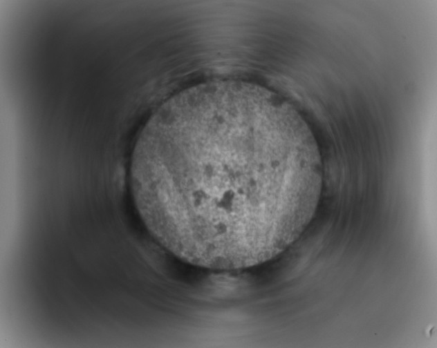 X0000091930703200709261914