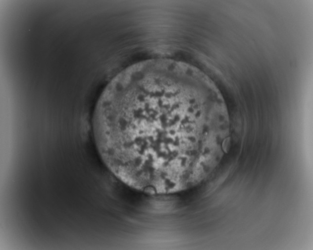 X0000091930707200709261914