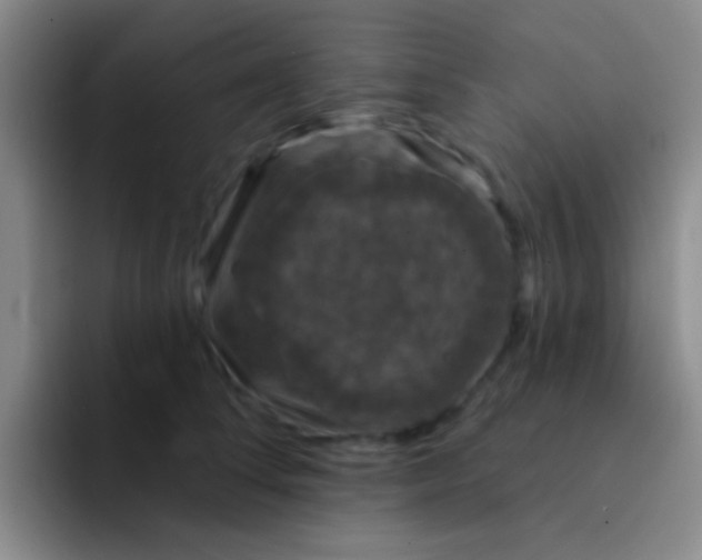 X0000091930708200709261914