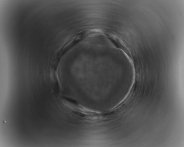 X0000091930712200709261914