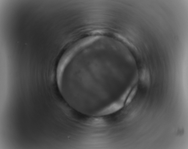 X0000091930715200709261914