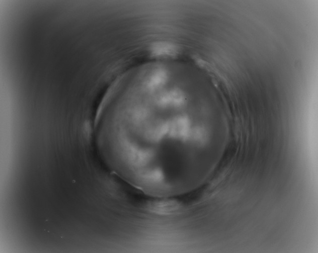 X0000091930716200709261914