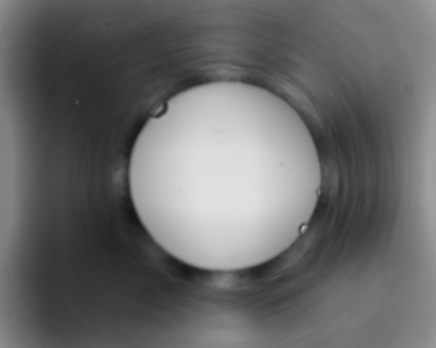 X0000091930717200709261914