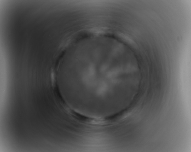 X0000091930720200709261914