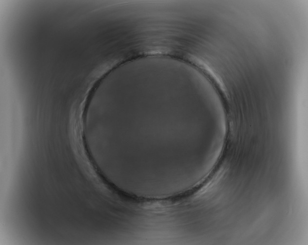 X0000091930721200709261913