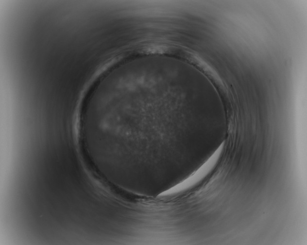 X0000091930722200709261913