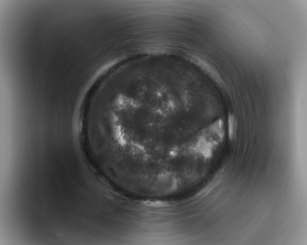 X0000091930723200709261913