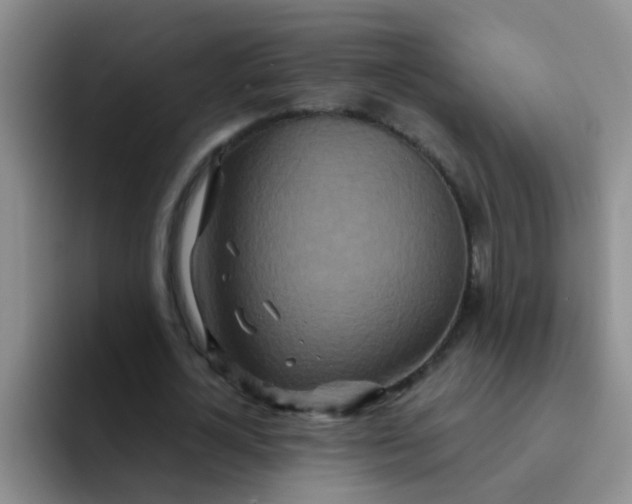 X0000091930724200709261913