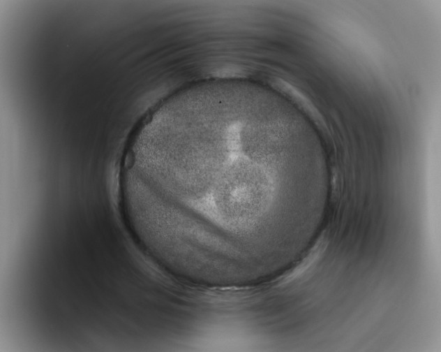 X0000091930725200709261913