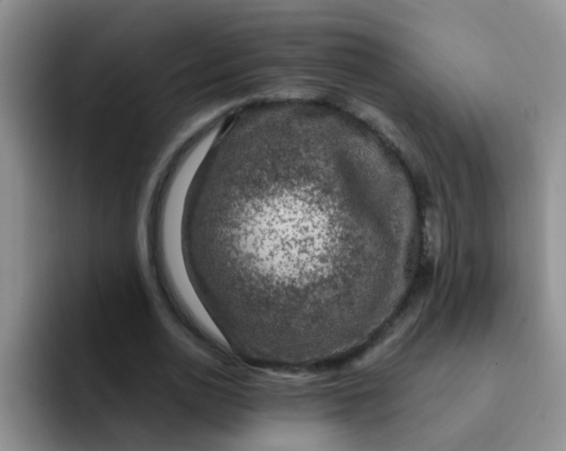 X0000091930726200709261913