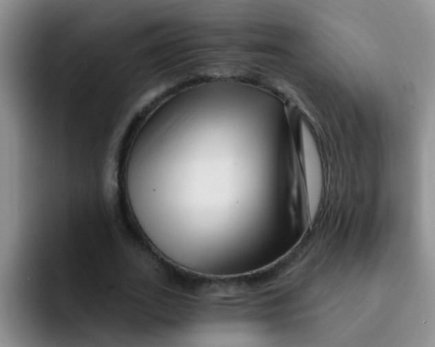 X0000091930727200709261913