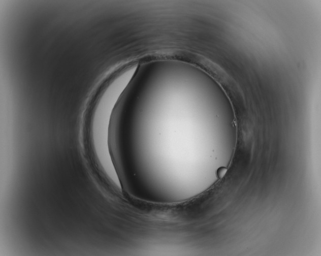 X0000091930728200709261913