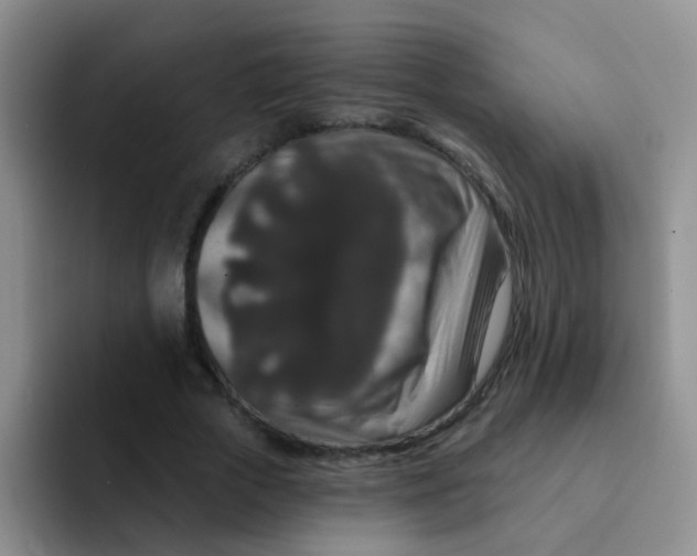 X0000091930729200709261913