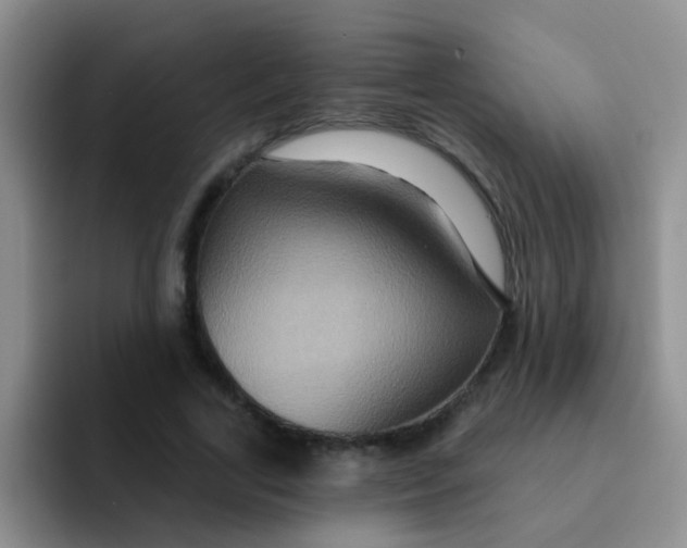 X0000091930731200709261913