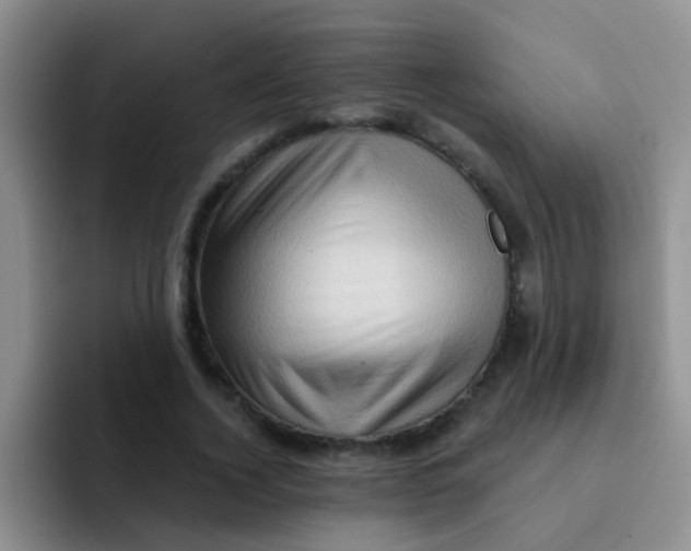X0000091930732200709261914