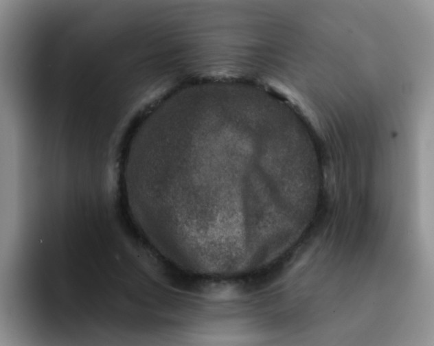 X0000091930735200709261914