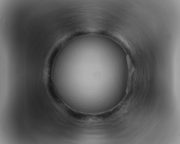 X0000091930736200709261914