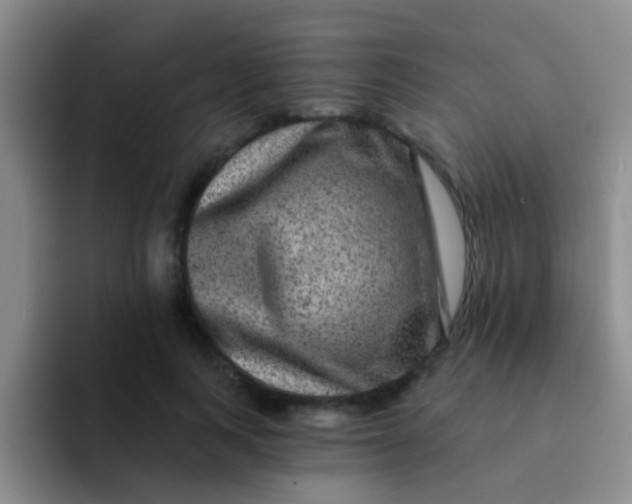 X0000091930743200709261914
