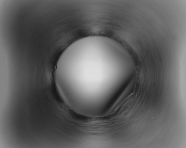 X0000091930746200709261914