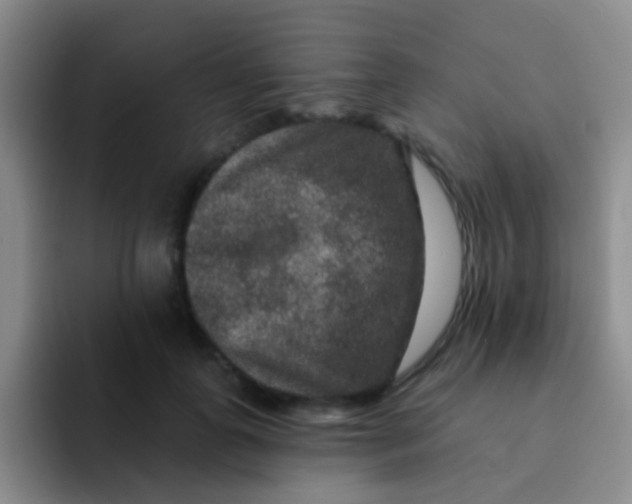 X0000091930747200709261914